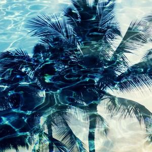 Meet your Posher, Ella